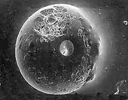 Lunar spherule