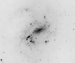 Galaxy