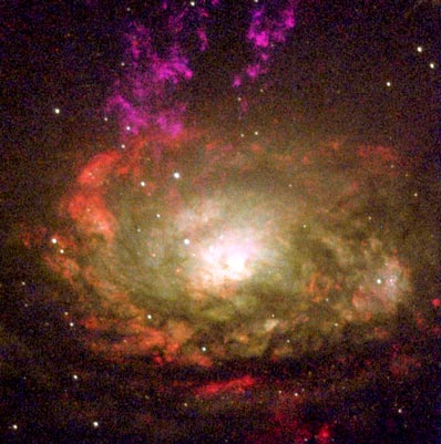 Circinus galaxy