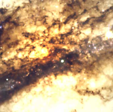 Centaurus