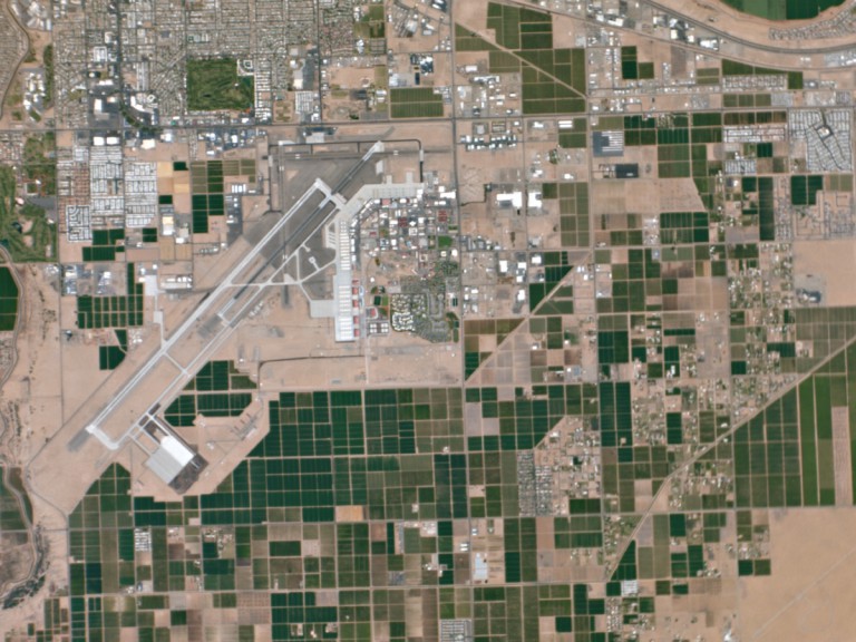 Labs In Yuma Arizona at Marie Guzman blog